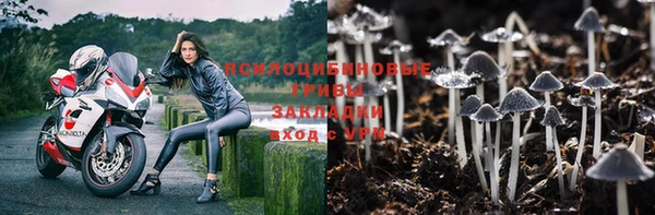 гашишное масло Белокуриха