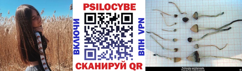 Галлюциногенные грибы Psilocybine cubensis  Купить закладки  Цимлянск 